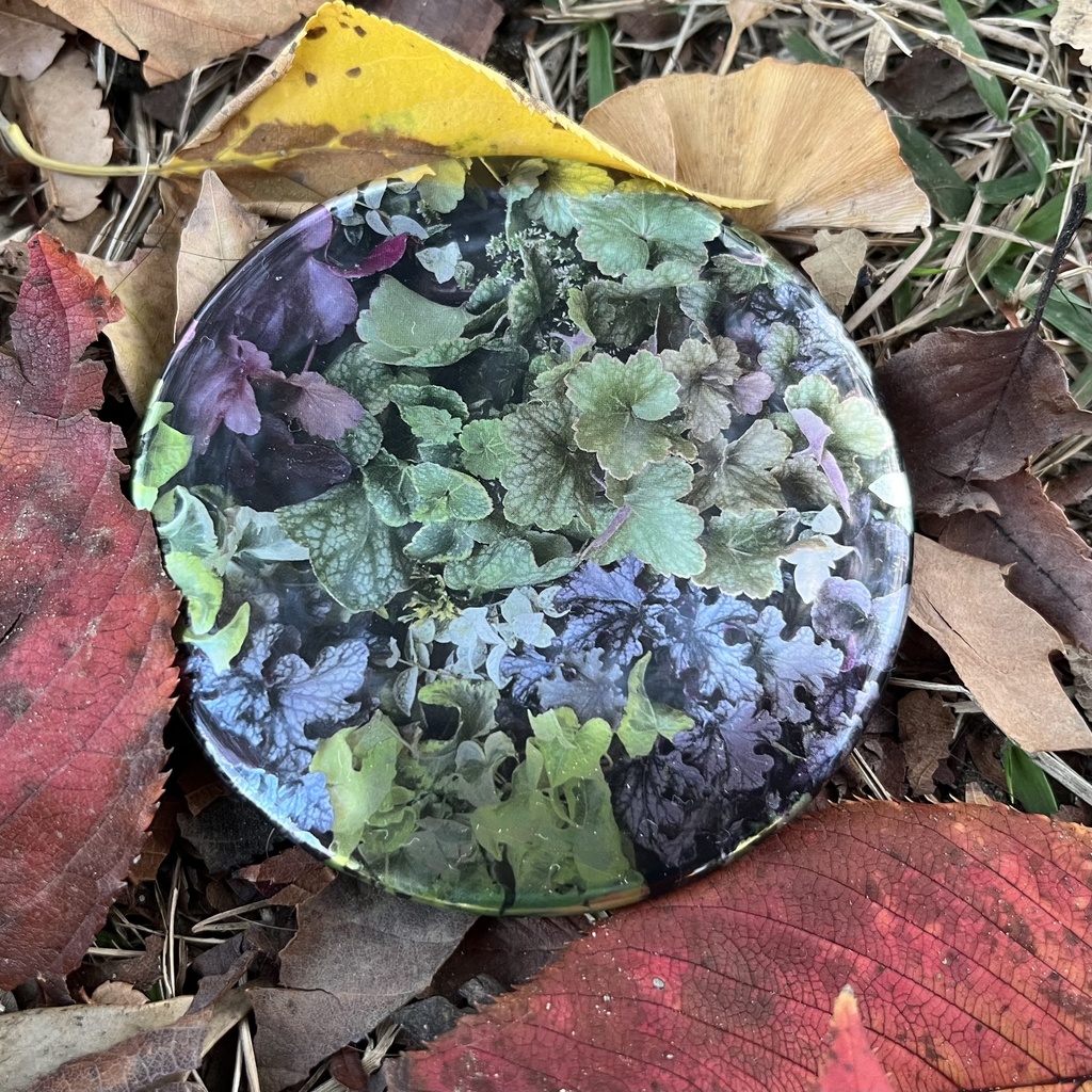 【sold】コンパクトミラー<全10種>