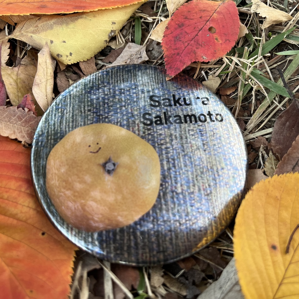 【sold】コンパクトミラー<全10種>