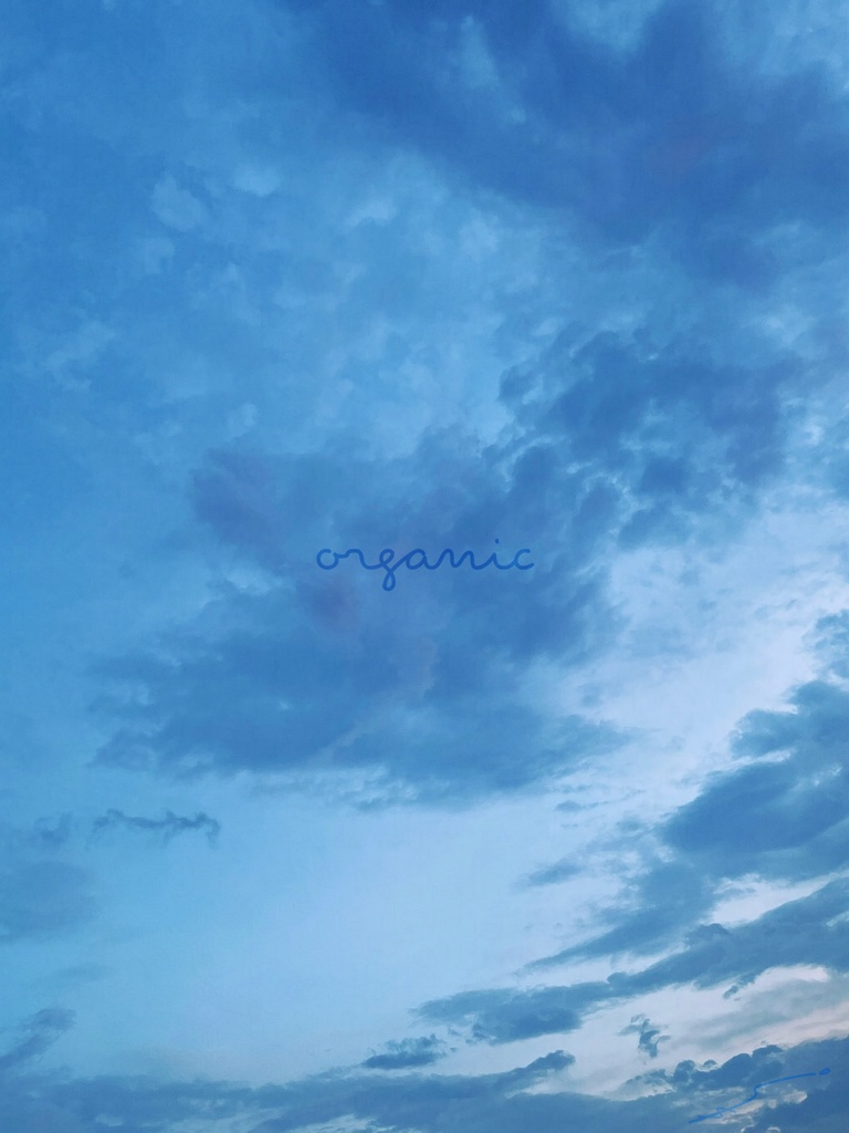 【sold】オーガニックコットンTシャツ【organic goods】