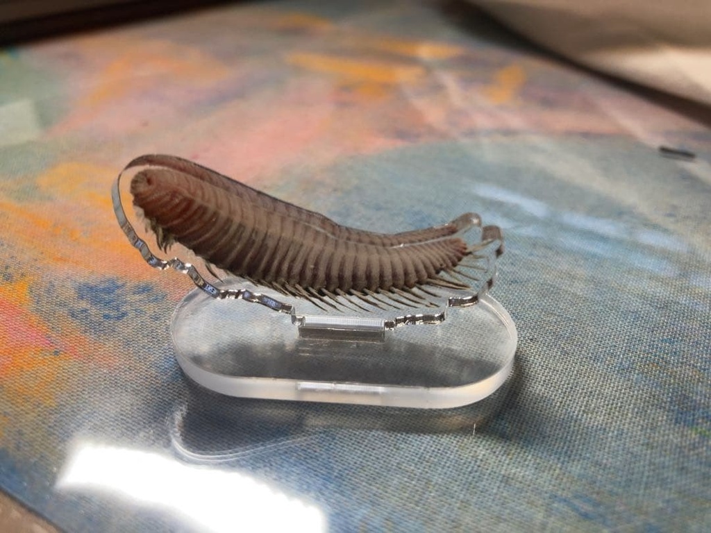 ウミケムシ/海毛虫のアクリルスタンド