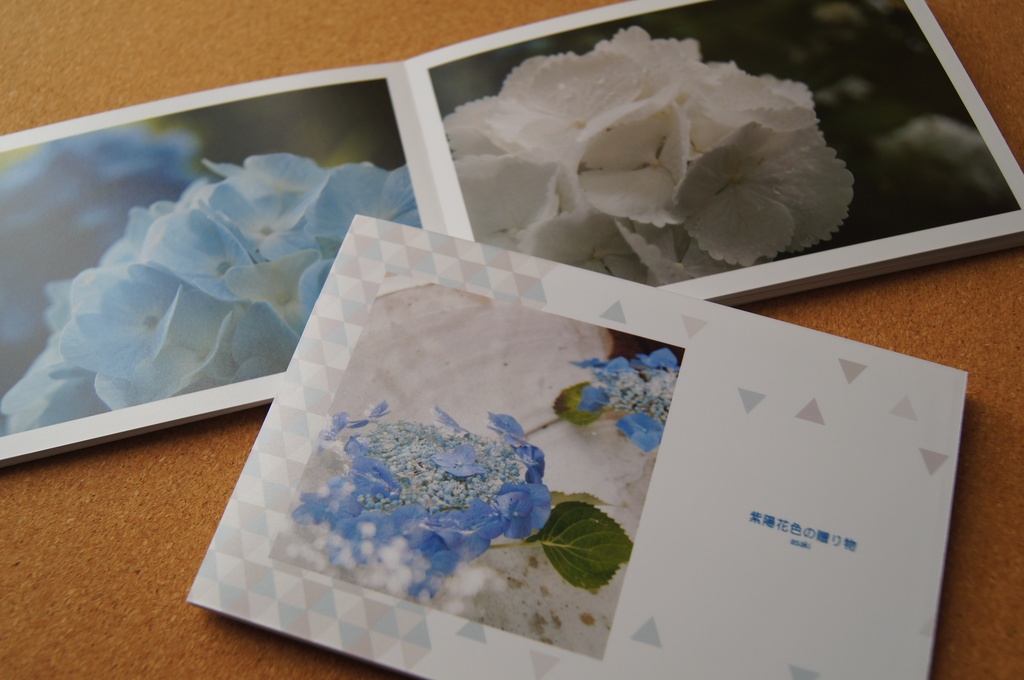 写真集「紫陽花色の贈り物」