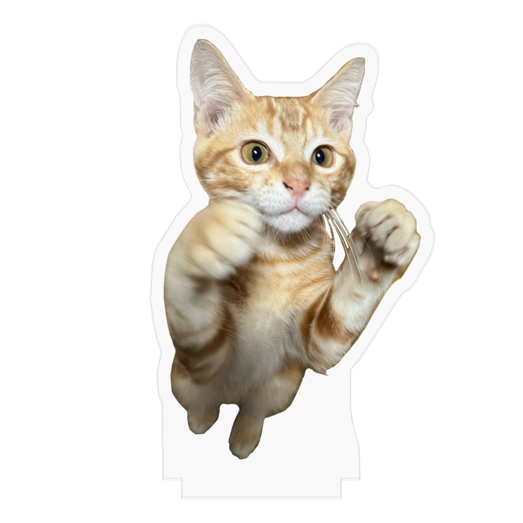 ぶりアクスタややデカ