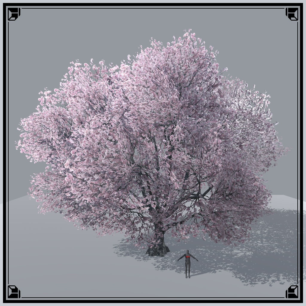 【VRChat想定】桜の木、揺れるシェーダー、花びらパーティクル付き(9点)
