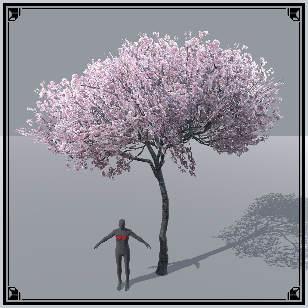【VRChat想定】桜の木、揺れるシェーダー、花びらパーティクル付き(9点)