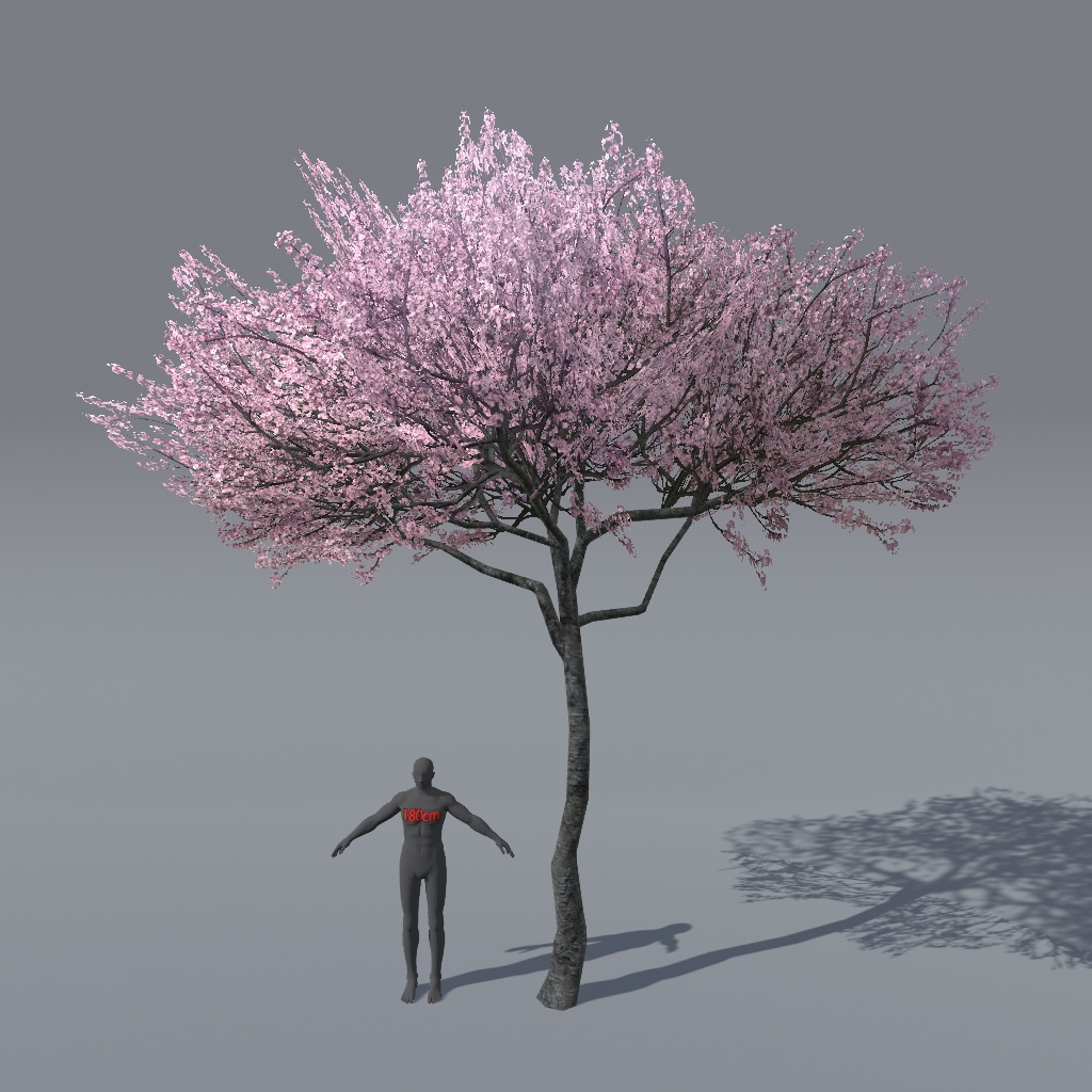 【VRChat想定】桜の木(花、葉、紅葉)、揺れるシェーダー、花びらパーティクル付き(27点)