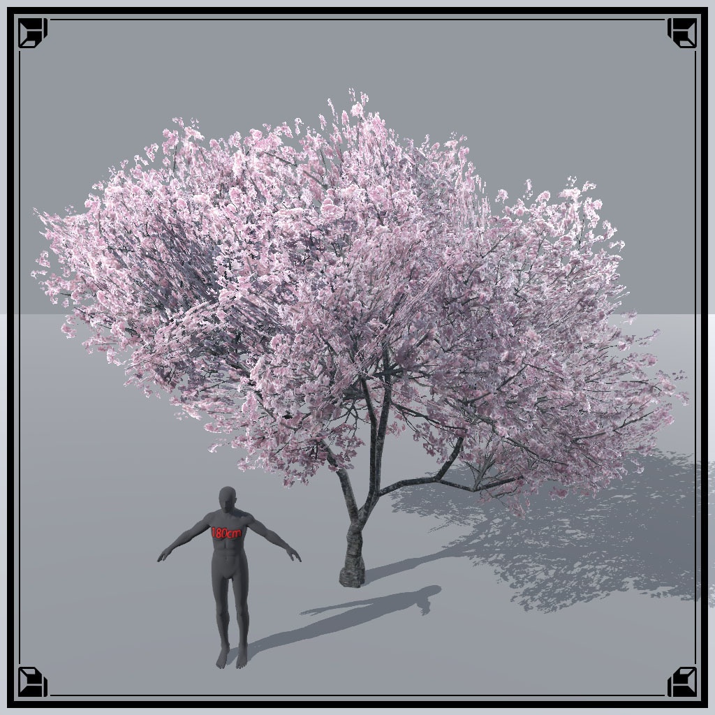 【VRChat想定】桜の木、揺れるシェーダー、花びらパーティクル付き(9点)