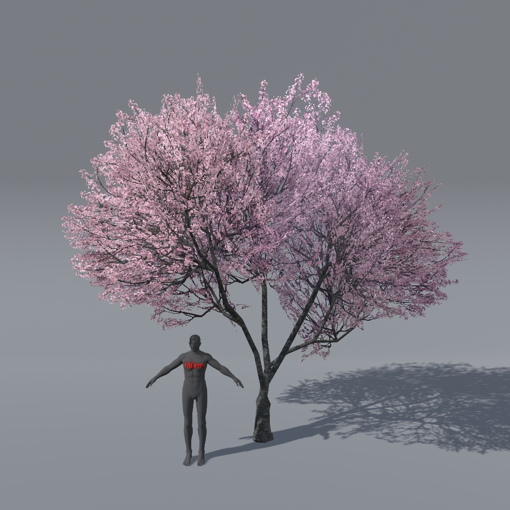 【VRChat想定】桜の木(花、葉、紅葉)、揺れるシェーダー、花びらパーティクル付き(27点)