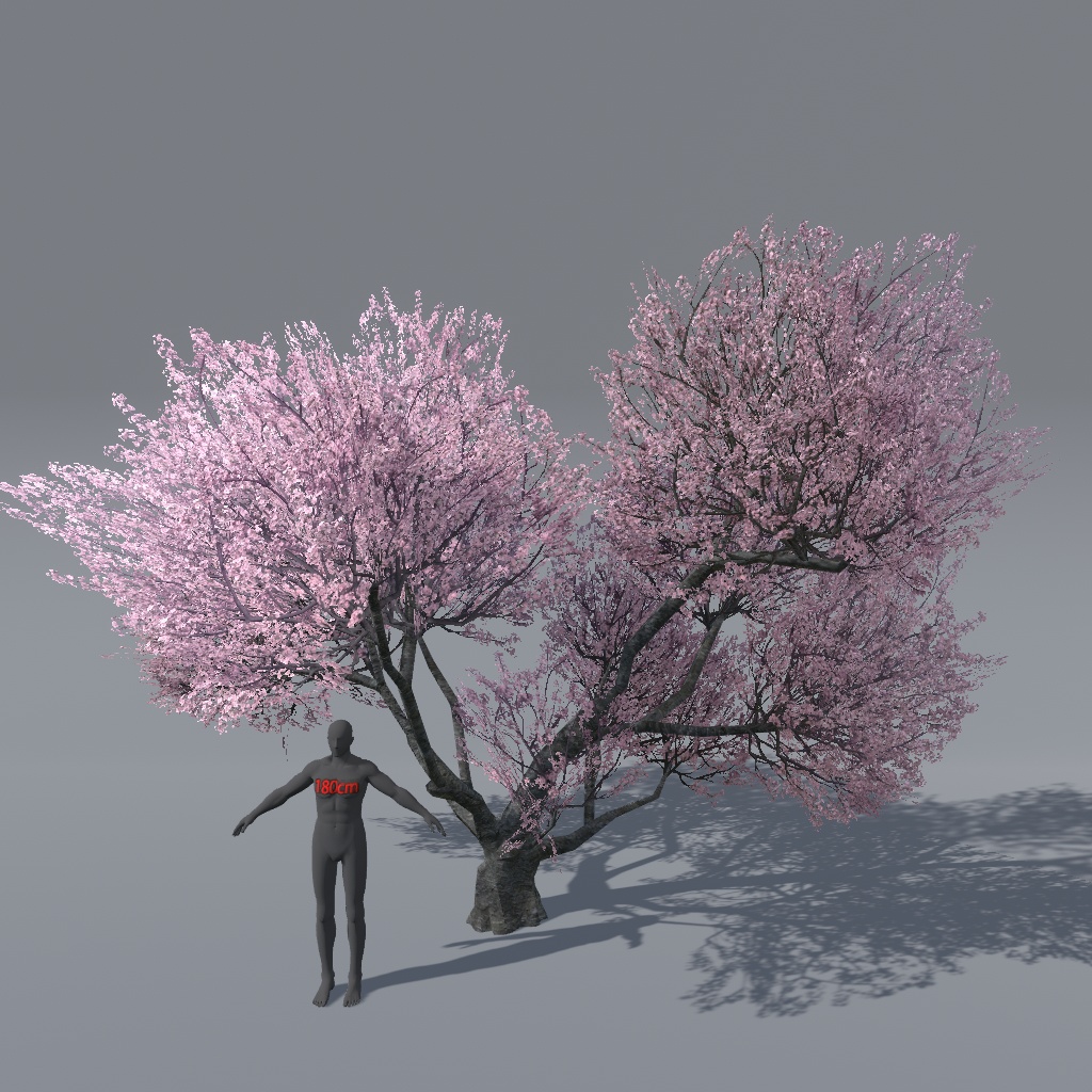 【VRChat想定】桜の木(花、葉、紅葉)、揺れるシェーダー、花びらパーティクル付き(27点)