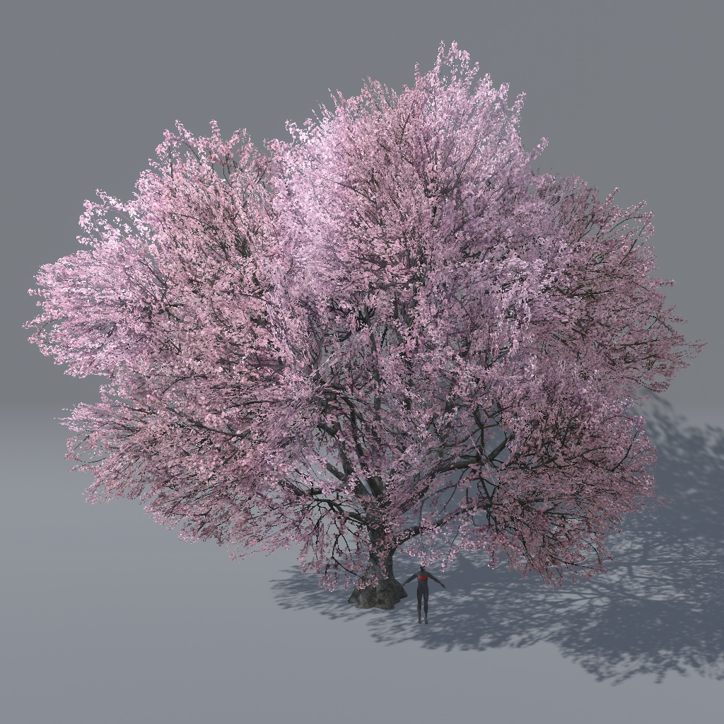 【VRChat想定】桜の木(花、葉、紅葉)、揺れるシェーダー、花びらパーティクル付き(27点)