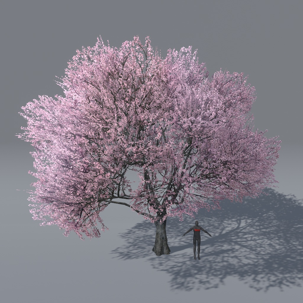 【VRChat想定】桜の木(花、葉、紅葉)、揺れるシェーダー、花びらパーティクル付き(27点)