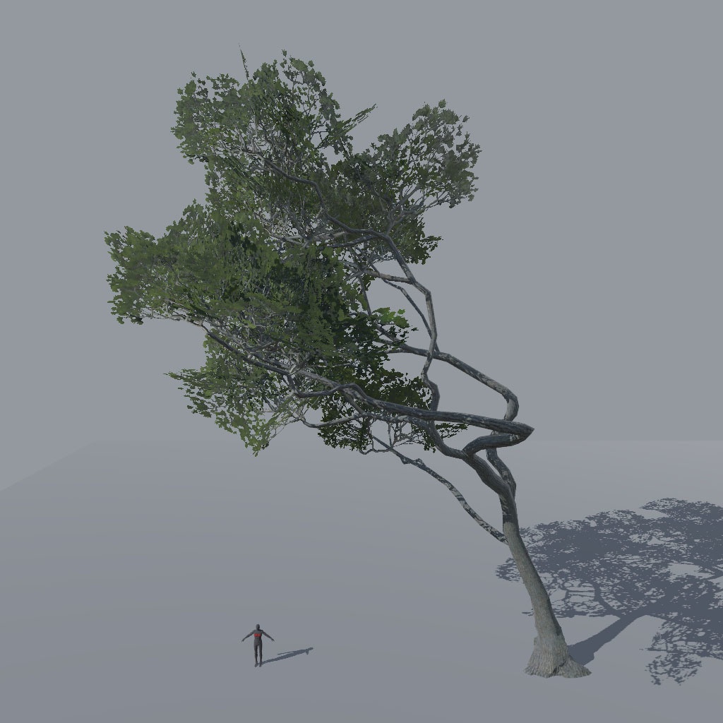 【VRChat想定】アレッポマツ、揺れるシェーダー付き(9点)