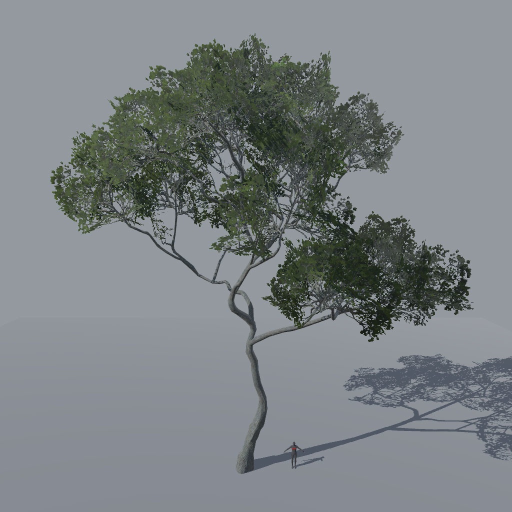 【VRChat想定】アレッポマツ、揺れるシェーダー付き(9点)