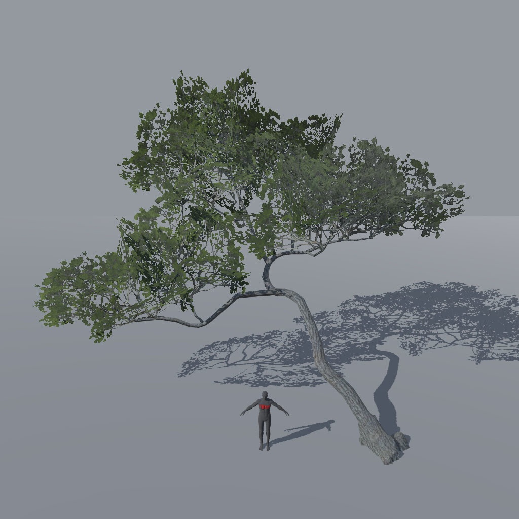 【VRChat想定】アレッポマツ、揺れるシェーダー付き(9点)