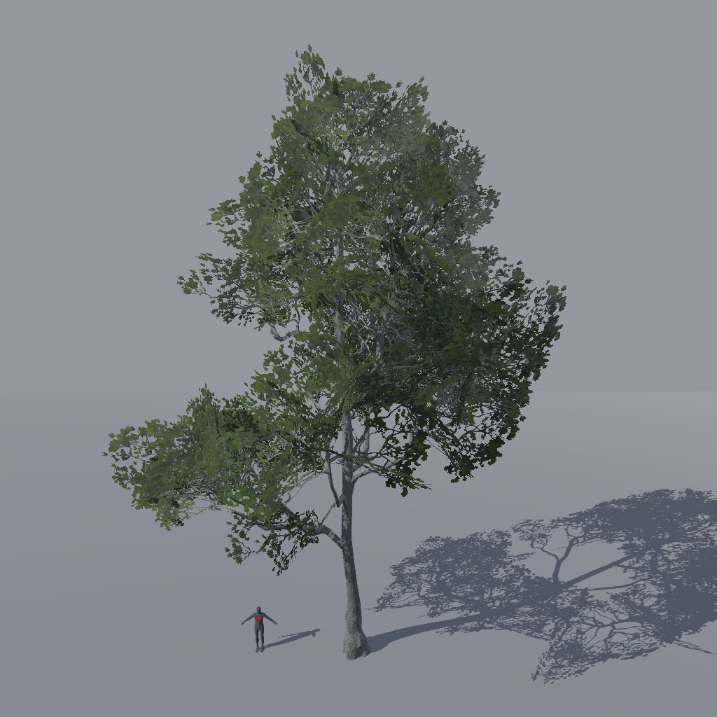 【VRChat想定】アレッポマツ、揺れるシェーダー付き(9点)