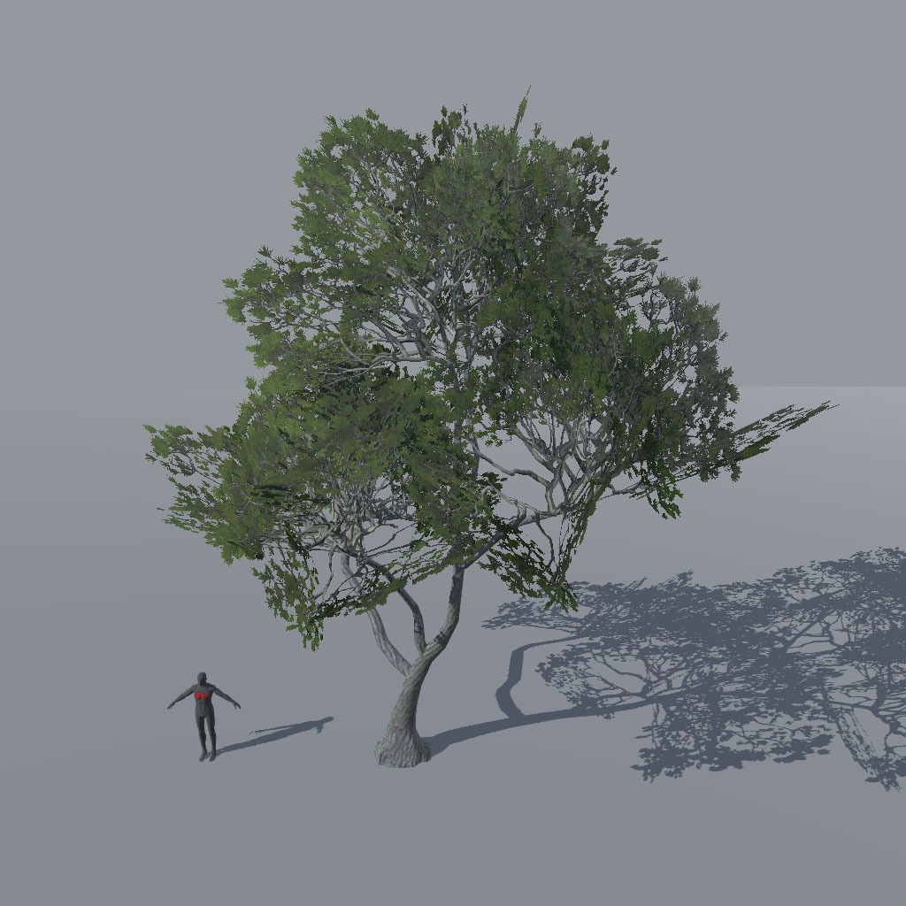 【VRChat想定】アレッポマツ、揺れるシェーダー付き(9点)