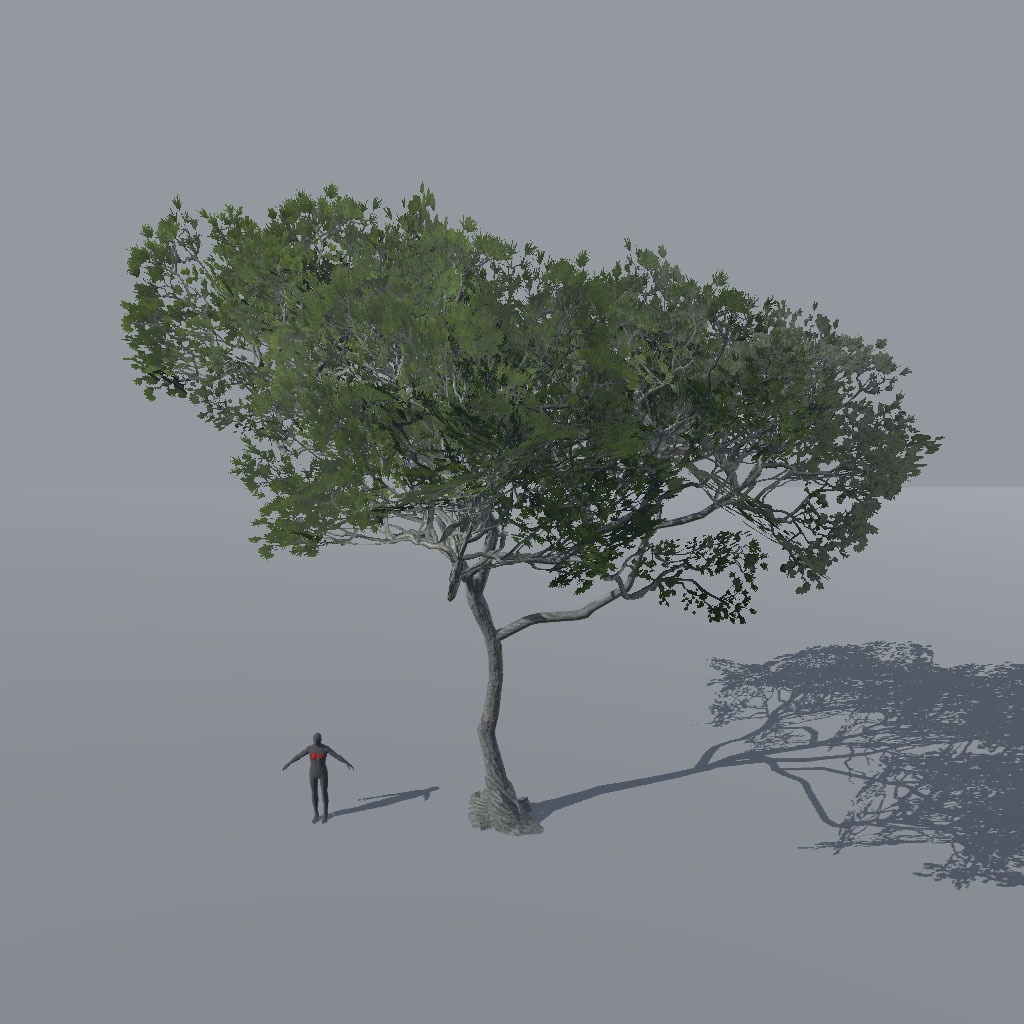 【VRChat想定】アレッポマツ、揺れるシェーダー付き(9点)