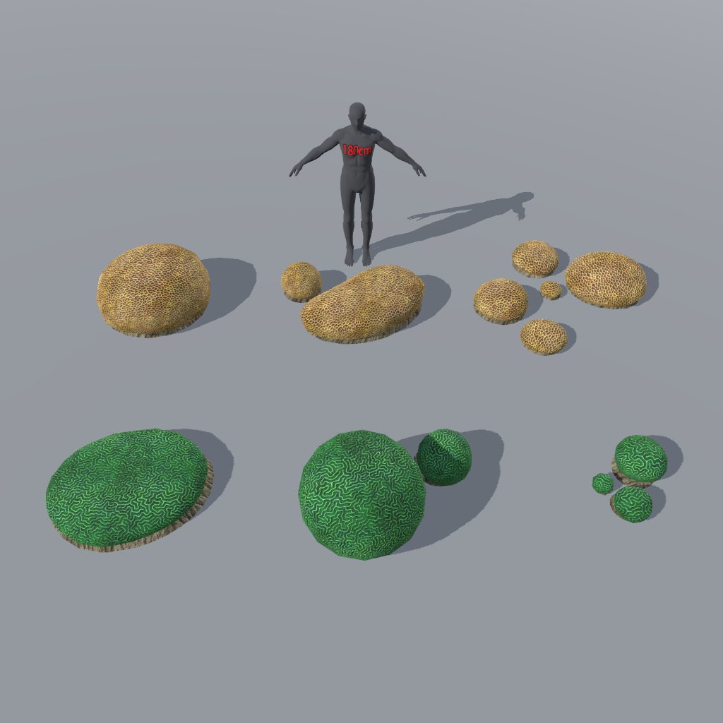 【VRChat想定】海洋生物相セット、お魚、気泡パーティクル付き(59点)