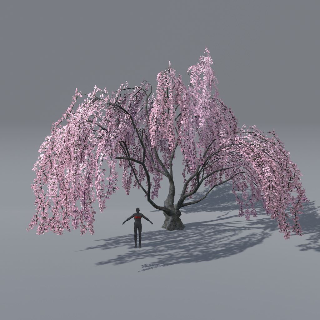【VRChat想定】枝垂れ桜(花、葉、紅葉)、揺れるシェーダー、花びらパーティクル付き(27点)