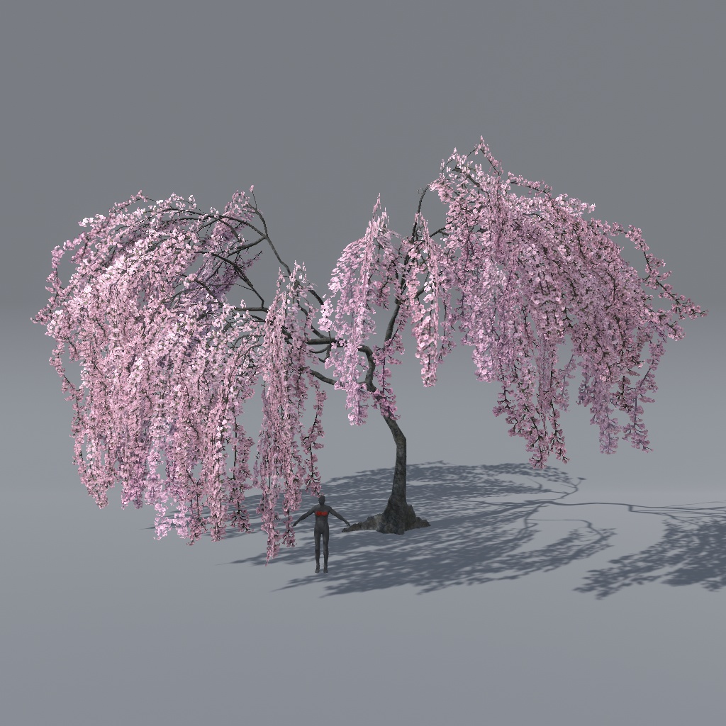 【VRChat想定】枝垂れ桜(花、葉、紅葉)、揺れるシェーダー、花びらパーティクル付き(27点)