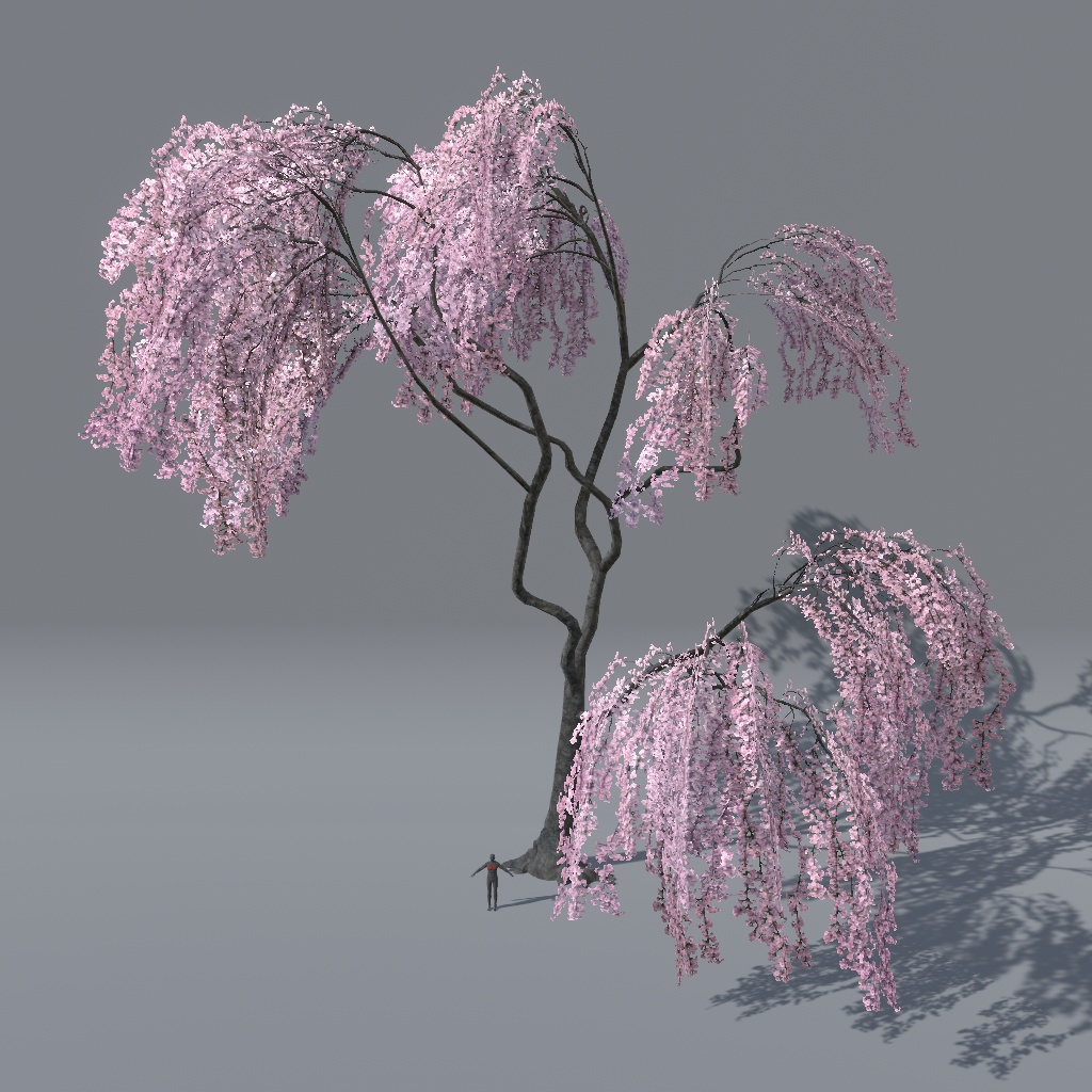 【VRChat想定】枝垂れ桜(花、葉、紅葉)、揺れるシェーダー、花びらパーティクル付き(27点)