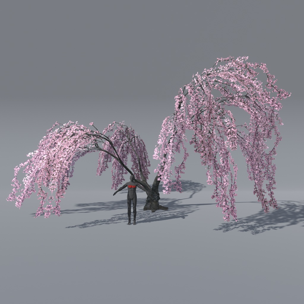 【VRChat想定】枝垂れ桜(花、葉、紅葉)、揺れるシェーダー、花びらパーティクル付き(27点)