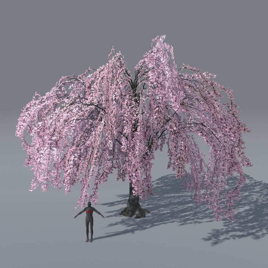 【VRChat想定】枝垂れ桜(花、葉、紅葉)、揺れるシェーダー、花びらパーティクル付き(27点)