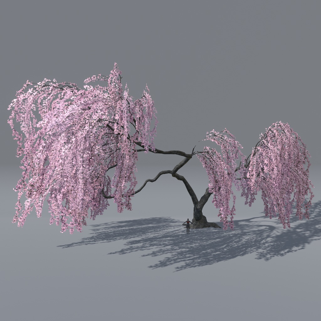 【VRChat想定】枝垂れ桜(花、葉、紅葉)、揺れるシェーダー、花びらパーティクル付き(27点)