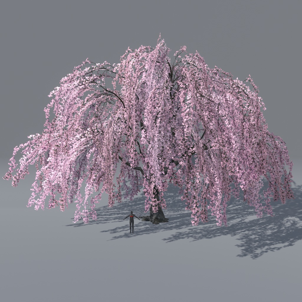 【VRChat想定】枝垂れ桜(花、葉、紅葉)、揺れるシェーダー、花びらパーティクル付き(27点)