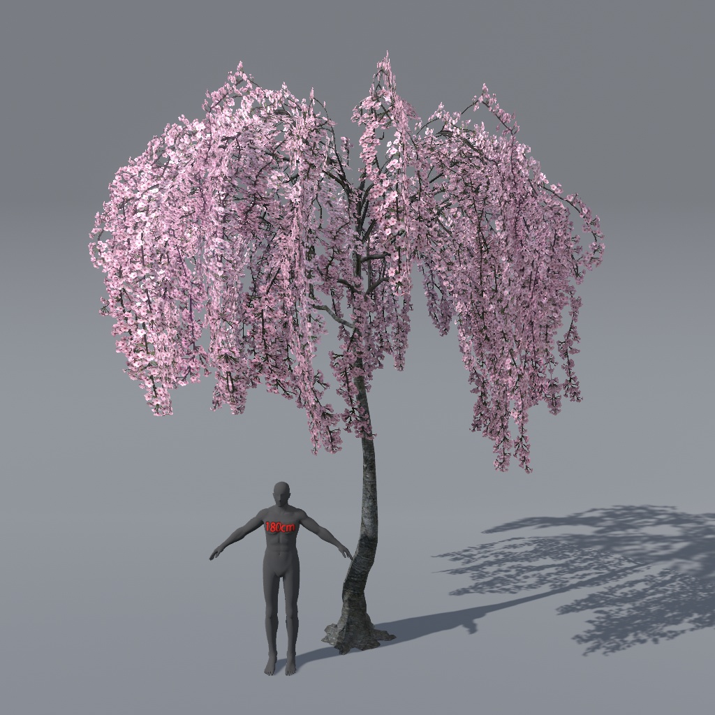 【VRChat想定】枝垂れ桜(花、葉、紅葉)、揺れるシェーダー、花びらパーティクル付き(27点)