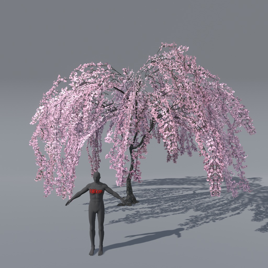 【VRChat想定】枝垂れ桜(花、葉、紅葉)、揺れるシェーダー、花びらパーティクル付き(27点)