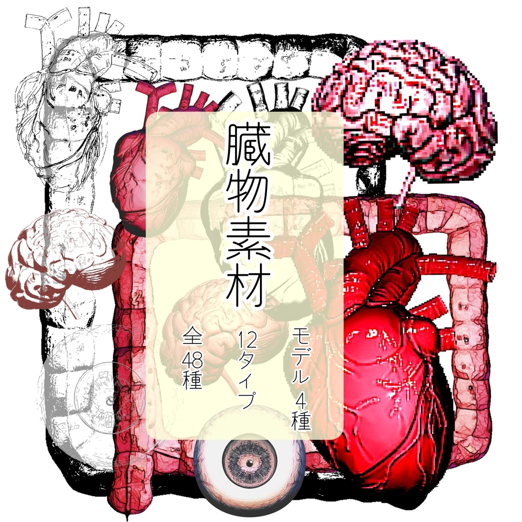 臓物 / 臓器 / 内臓  素材集