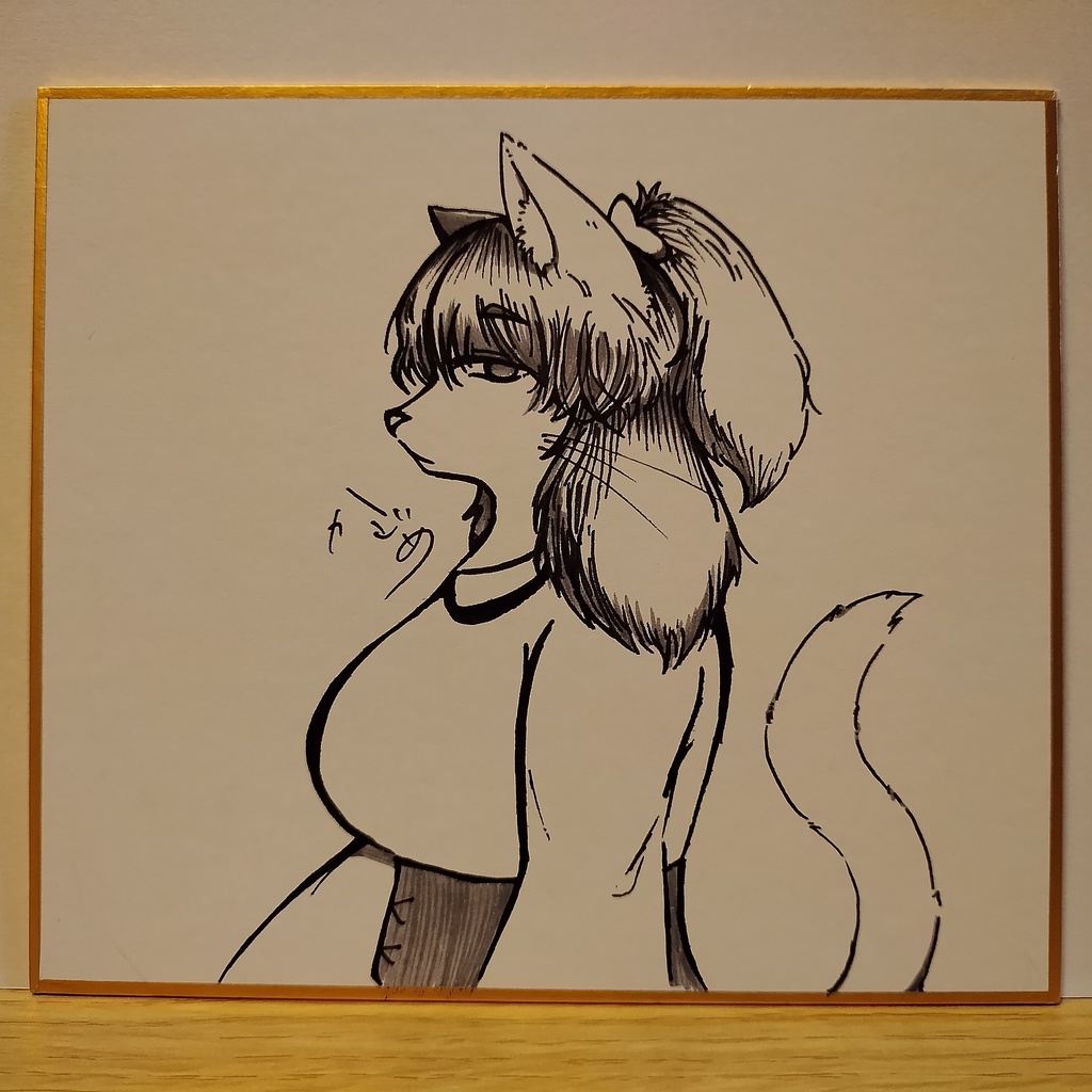 メスケモ 猫 白黒 色紙