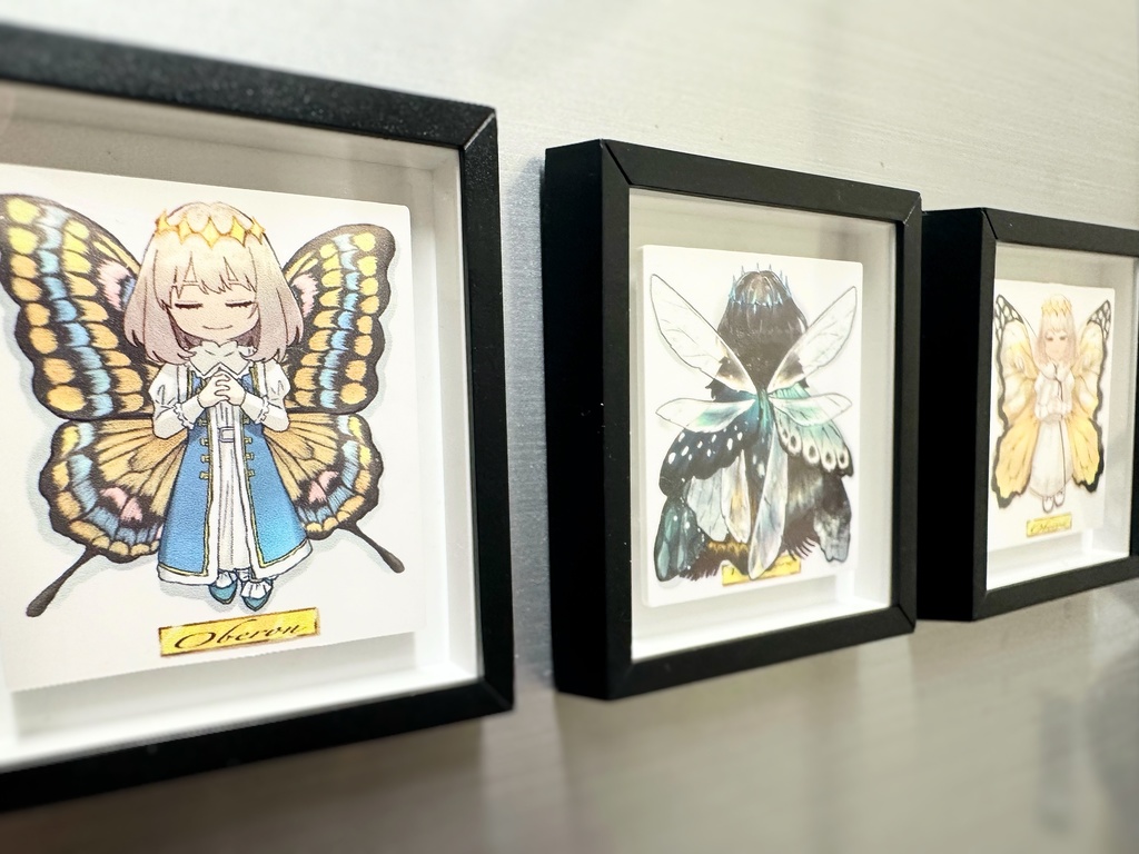 【11/16再販】標本風ミニ額縁マグネット