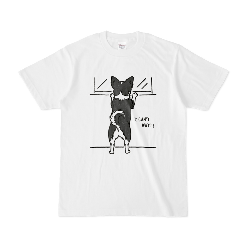 ただいまを待つチワワくん