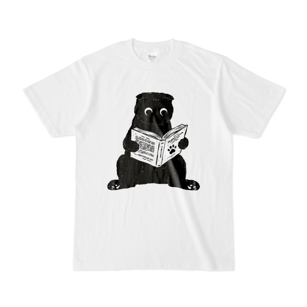 スコ座りで読書(スコティッシュフォールド)