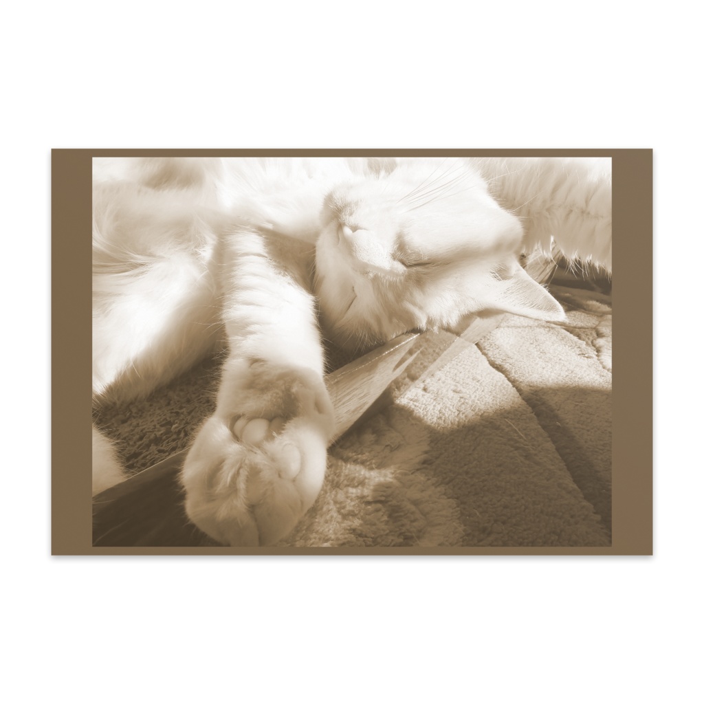 ばんざいごろにゃん