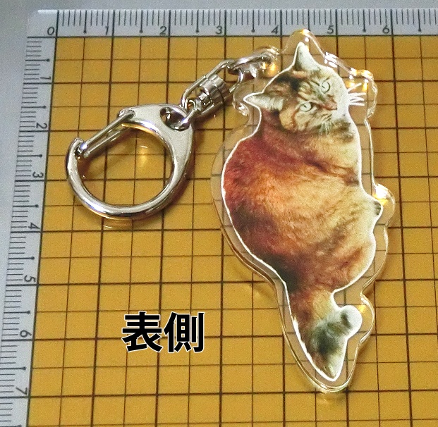 カギしっぽ猫ちゃんアクキー