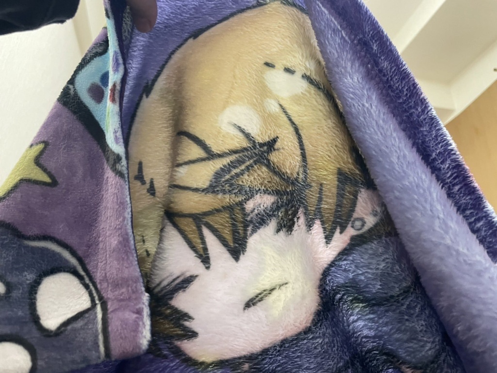 クズチャラ男ブランケット