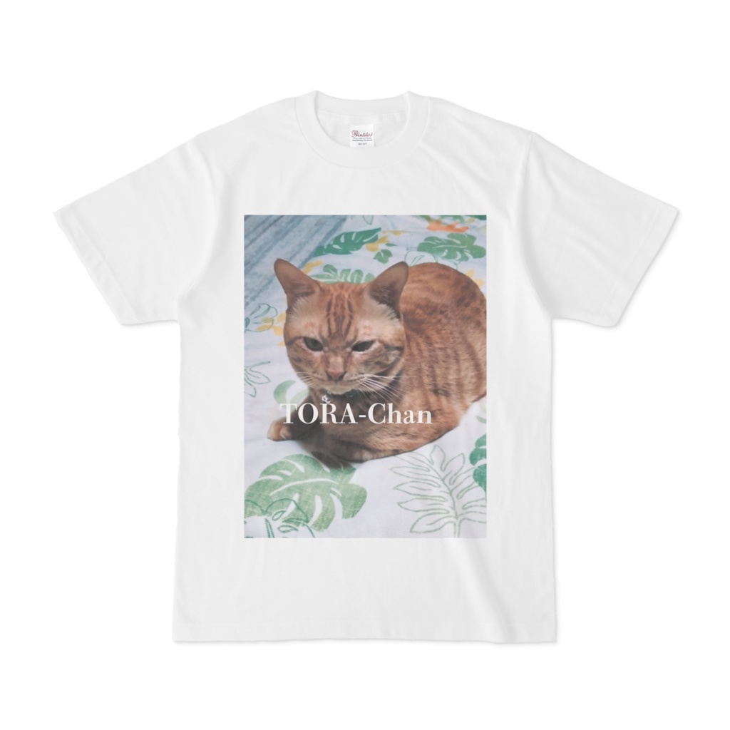 とらちゃんTシャツ