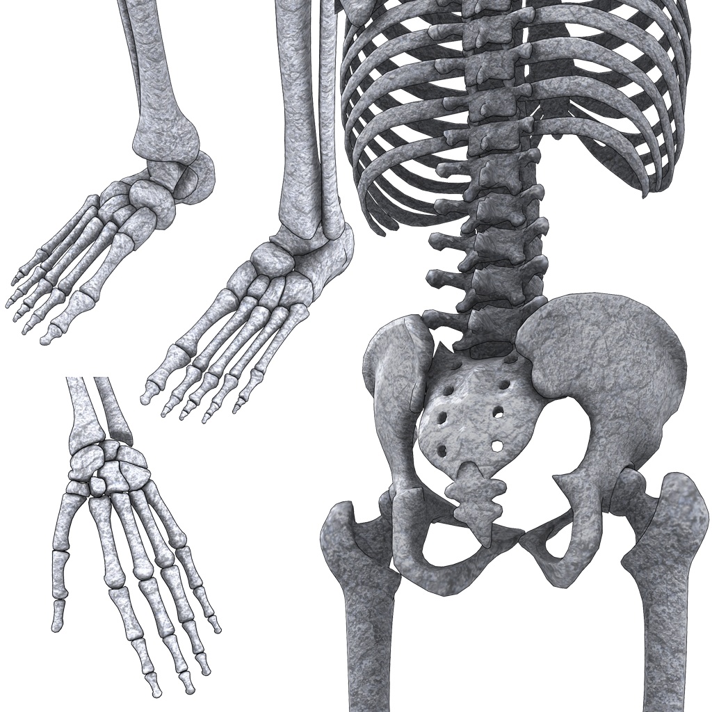 オリジナル3Dモデル『死神と骸骨』