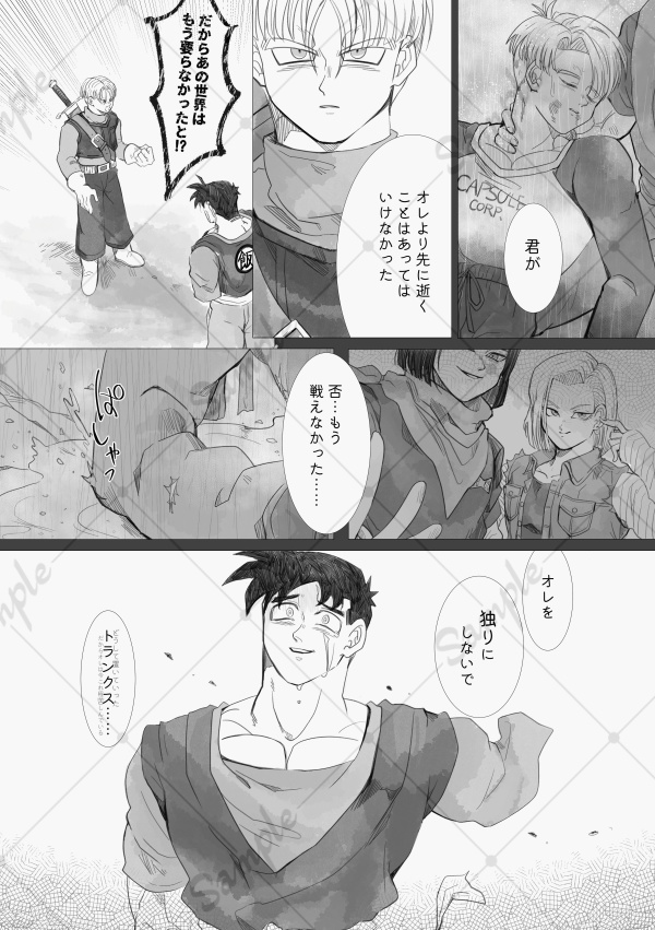 【匿名配送】Division Point