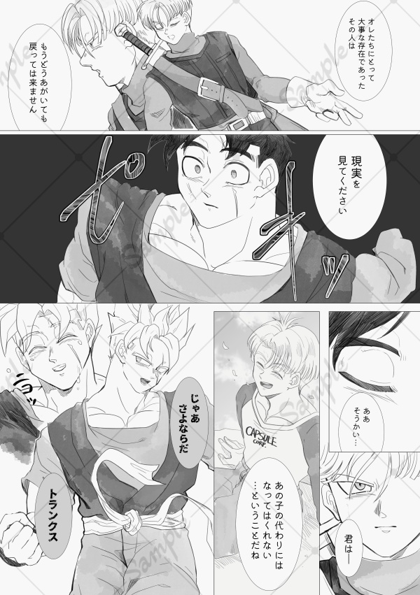 【匿名配送】Division Point