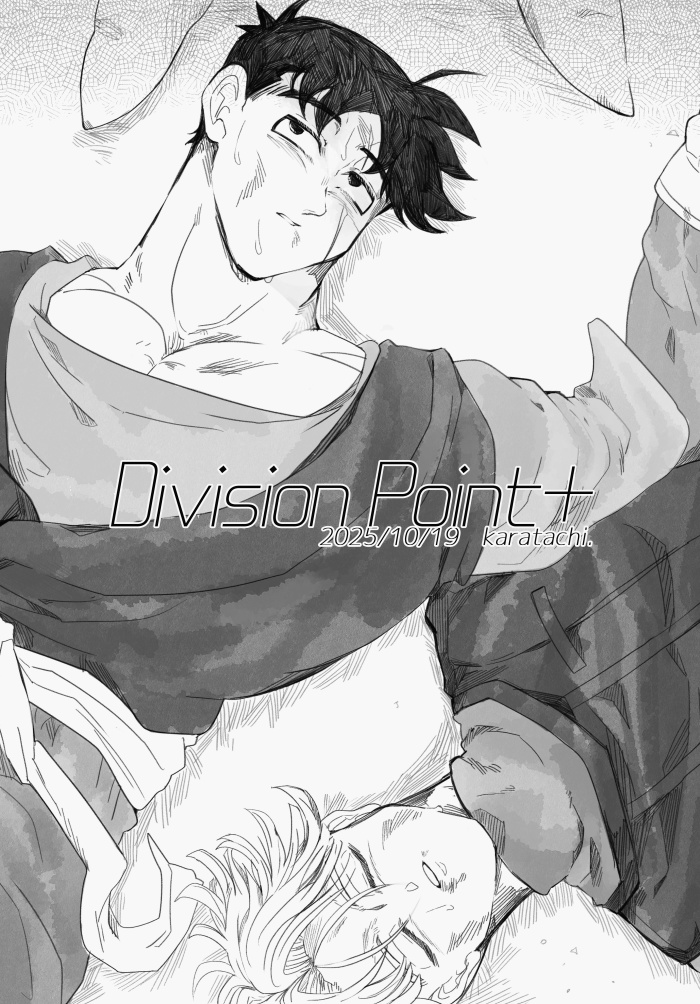 【匿名配送】Division Point