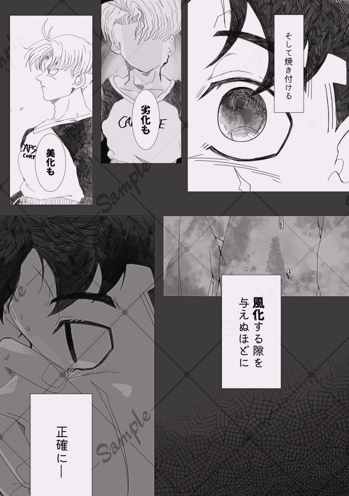 【匿名配送】心象【事前予約期間】