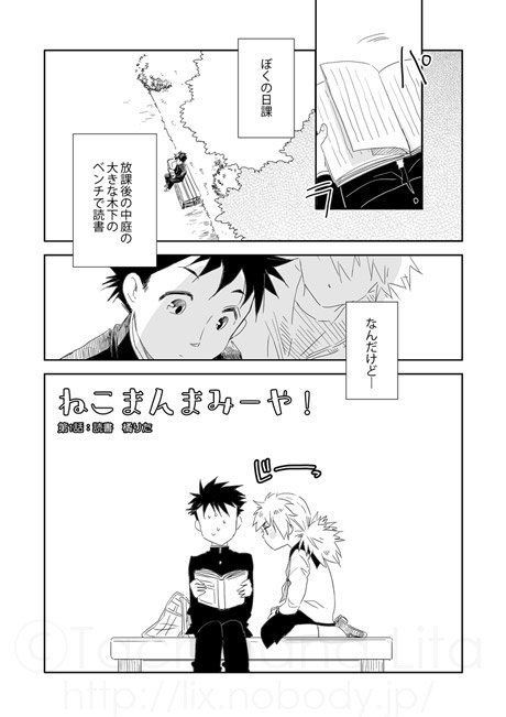 ねこまんまみーや！　第1話：読書
