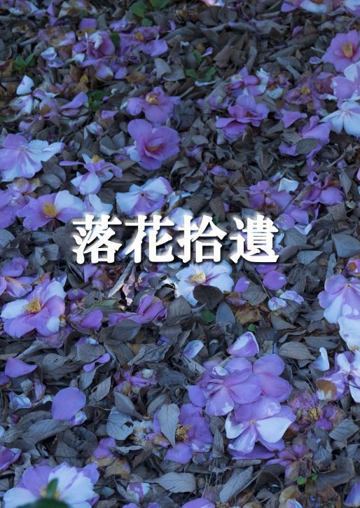 落花拾遺