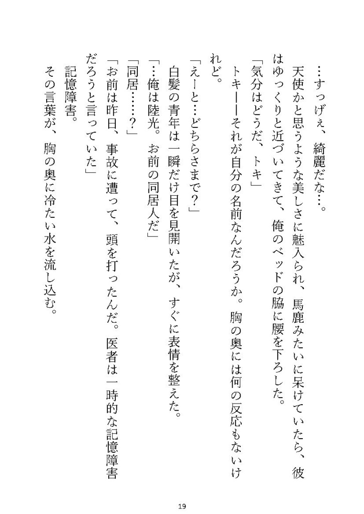 トキヒカ作品集【T-AI-M PARADOX】日常系