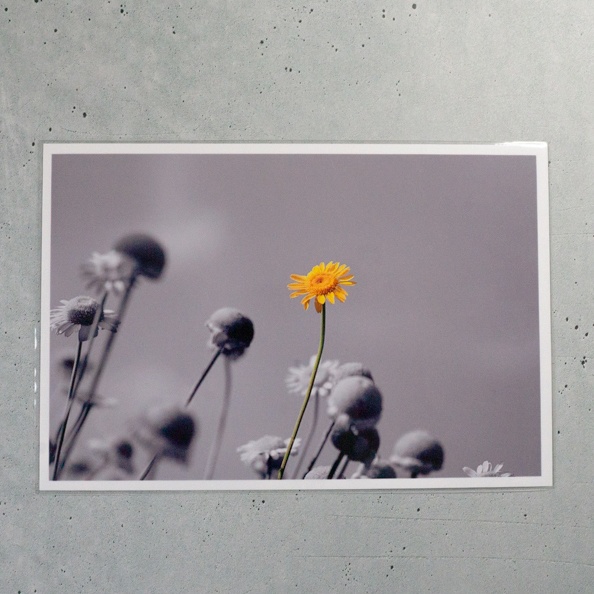 ポストカード_Yellow