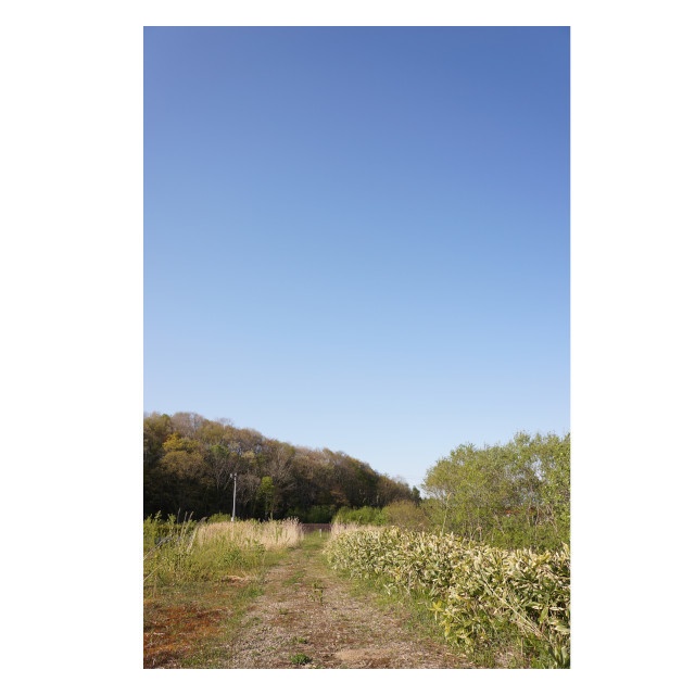 写真集「追憶」