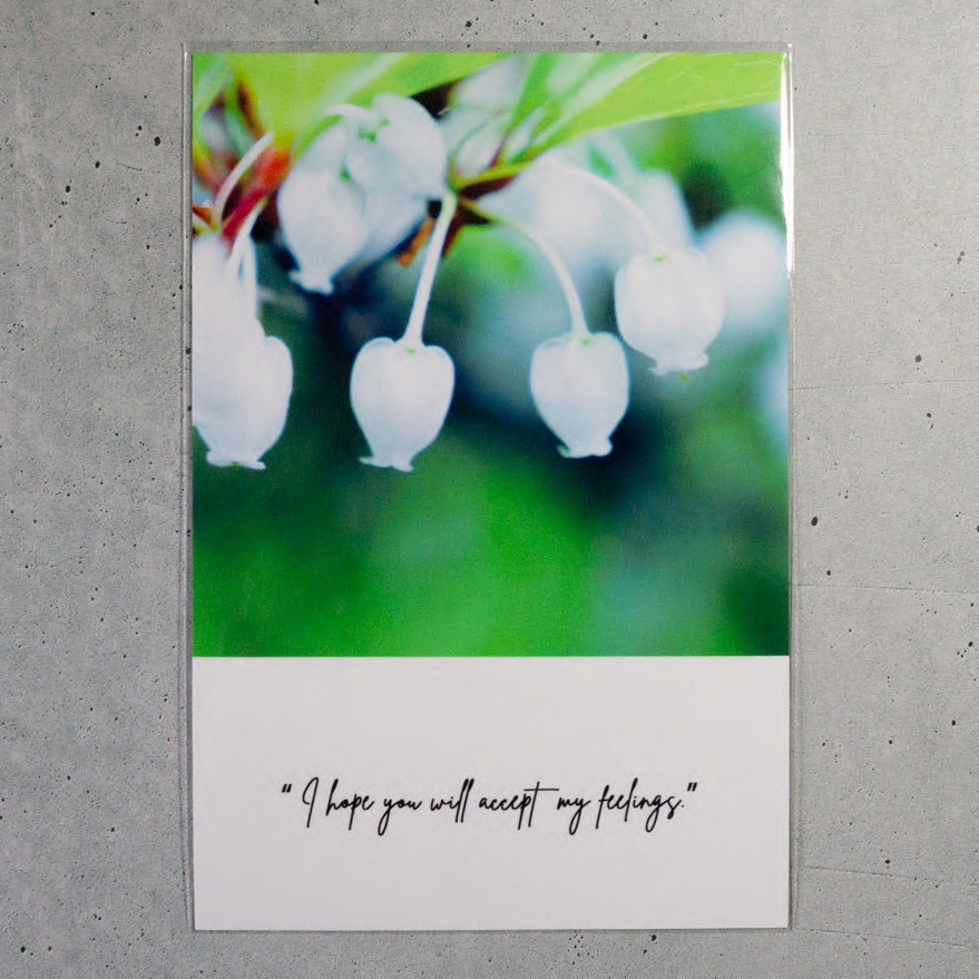 ポストカード_ドウダンツツジ